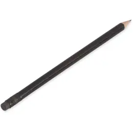 Altitude Brainiac Wooden Pencil