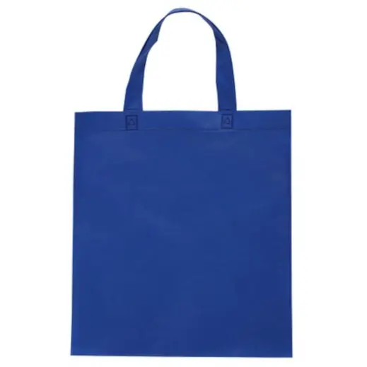 Handy Shopper Bag