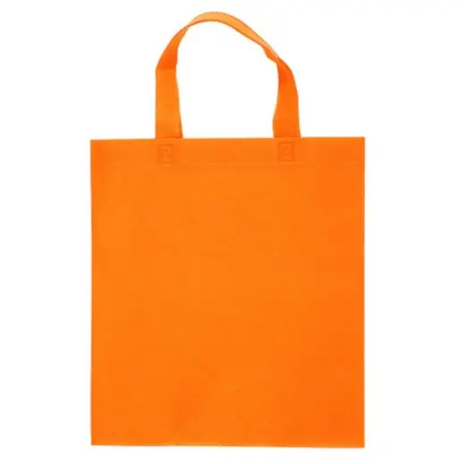 Handy Shopper Bag