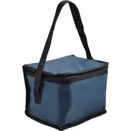 PVC 6-Can Cooler