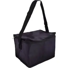 PVC 6-Can Cooler