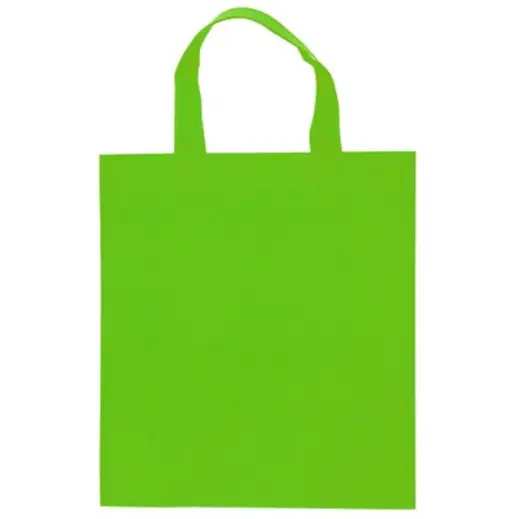 Handy Shopper Bag