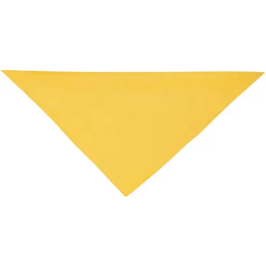 FWRD Plain Bandana