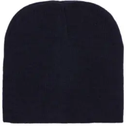 FWRD Skull Beanie