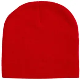 FWRD Skull Beanie