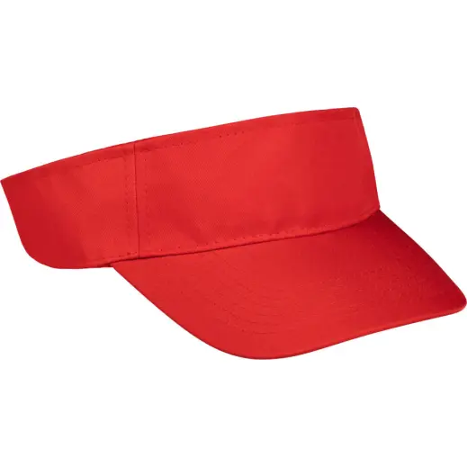 Basic Sun Visor