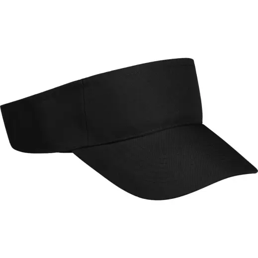 Basic Sun Visor