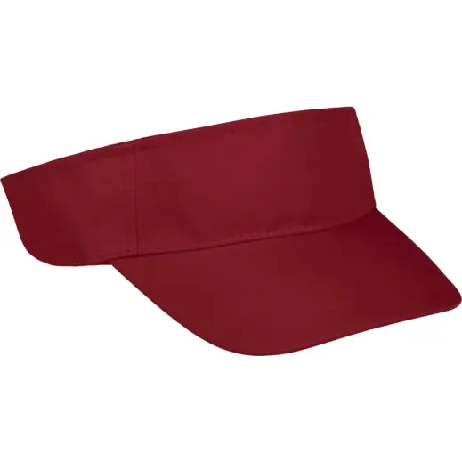 Basic Sun Visor