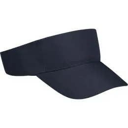 Basic Sun Visor