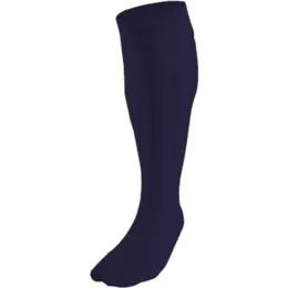 BRT Team Sock