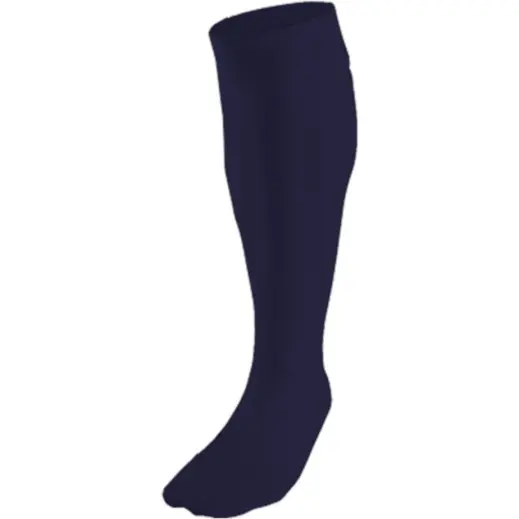 BRT Team Sock