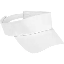 Arena Visor