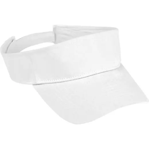 Arena Visor