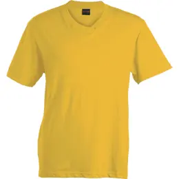 180g Barron V-Neck T-Shirt