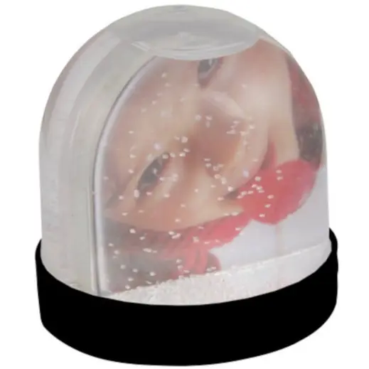 Picture Snow Globe