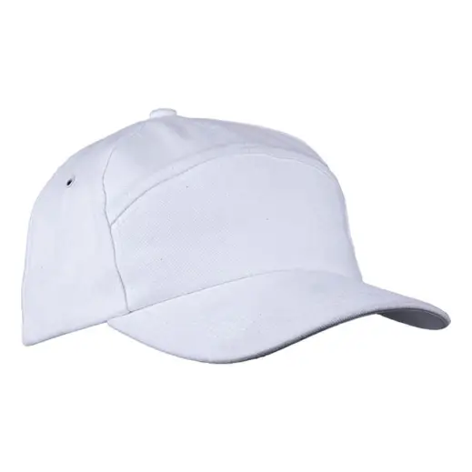 6 Panel Carbon Cap