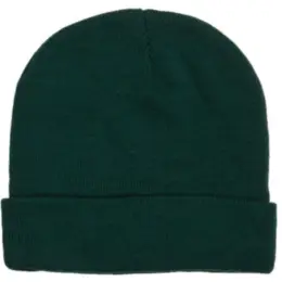 FWRD Aspen Beanie