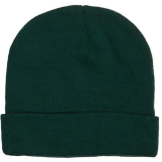 FWRD Aspen Beanie
