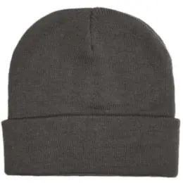 FWRD Aspen Beanie