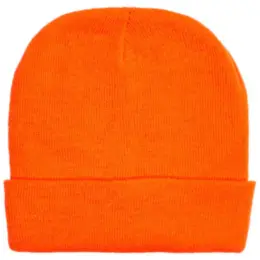 FWRD Aspen Beanie