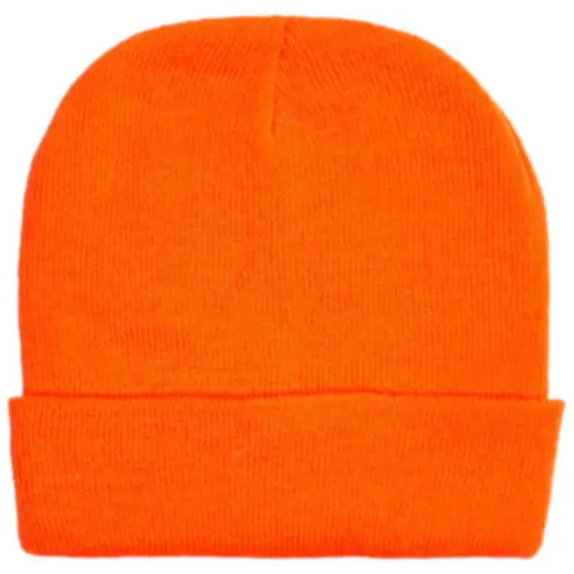 FWRD Aspen Beanie
