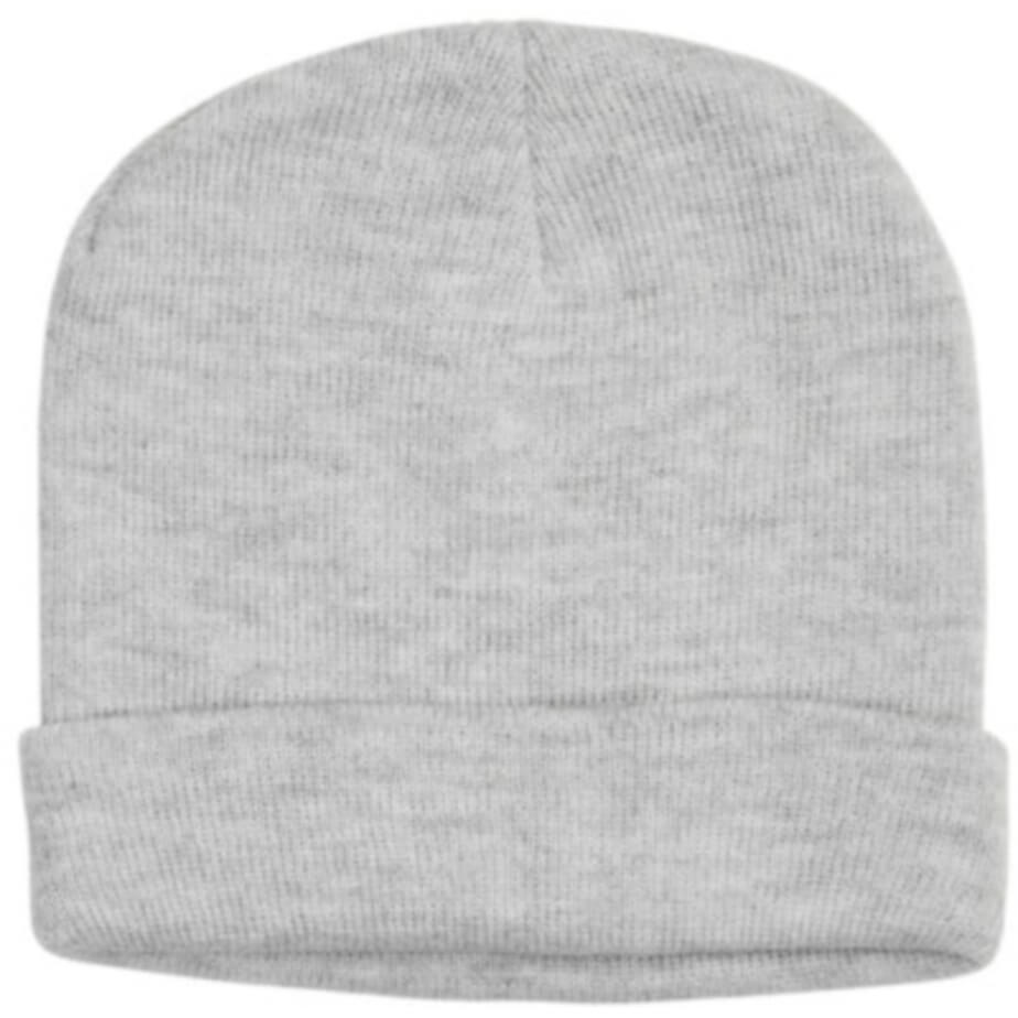 FWRD Aspen Beanie