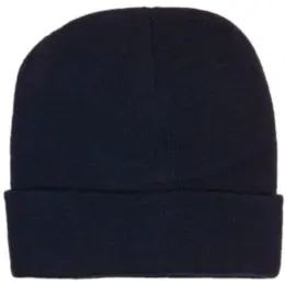 FWRD Aspen Beanie