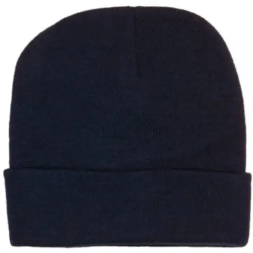 FWRD Aspen Beanie