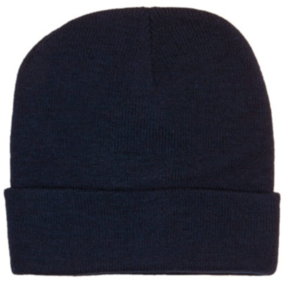 FWRD Aspen Beanie