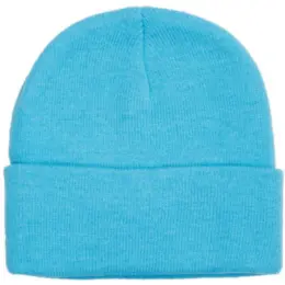 FWRD Aspen Beanie