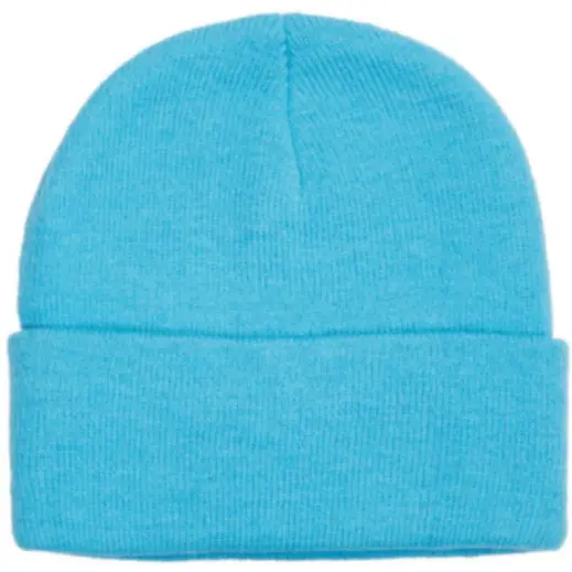 FWRD Aspen Beanie