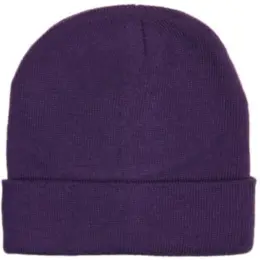 FWRD Aspen Beanie