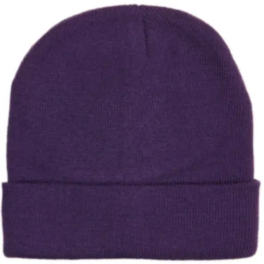 FWRD Aspen Beanie