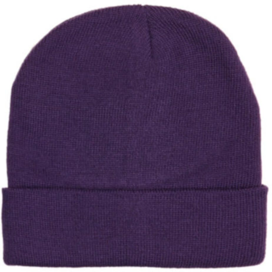 FWRD Aspen Beanie