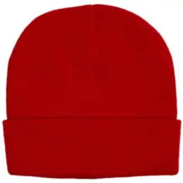 FWRD Aspen Beanie