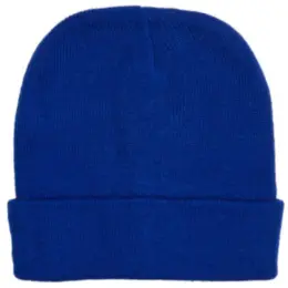 FWRD Aspen Beanie