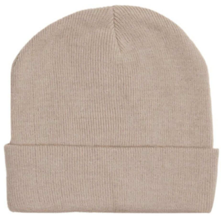FWRD Aspen Beanie