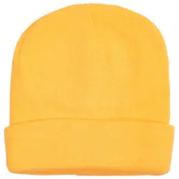 FWRD Aspen Beanie