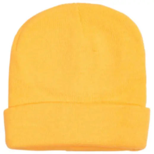 FWRD Aspen Beanie