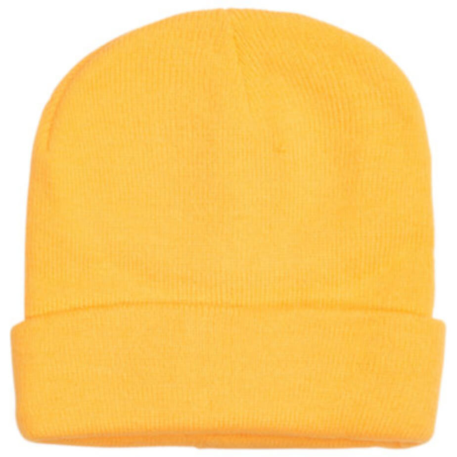 FWRD Aspen Beanie