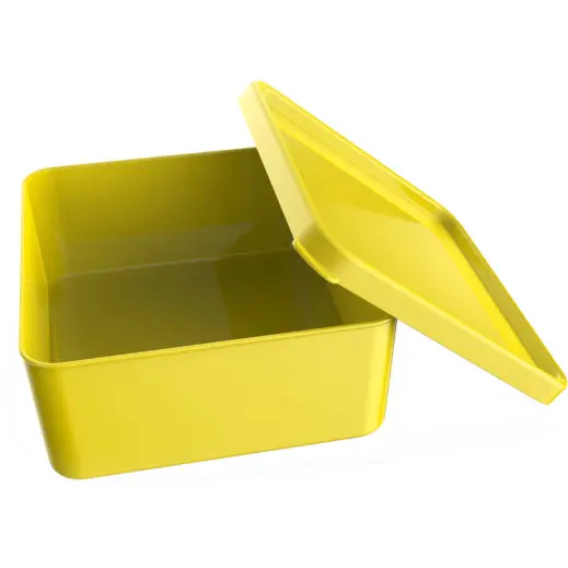 Altitude Arcadia Lunch Box