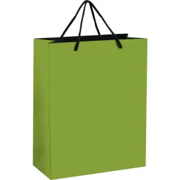 Altitude Omega Midi Paper Gift Bag