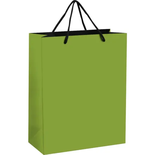 Altitude Omega Midi Paper Gift Bag