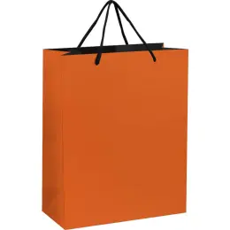 Altitude Omega Midi Paper Gift Bag