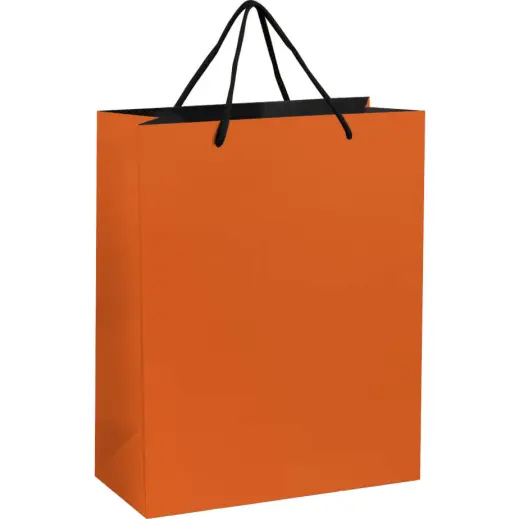 Altitude Omega Midi Paper Gift Bag