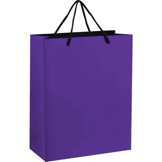 Altitude Omega Midi Paper Gift Bag