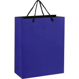 Altitude Omega Midi Paper Gift Bag