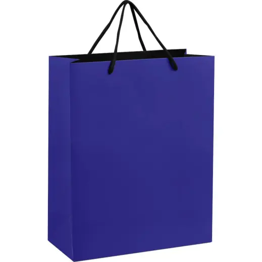 Altitude Omega Midi Paper Gift Bag