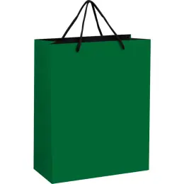Altitude Omega Midi Paper Gift Bag