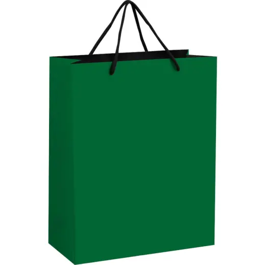 Altitude Omega Midi Paper Gift Bag